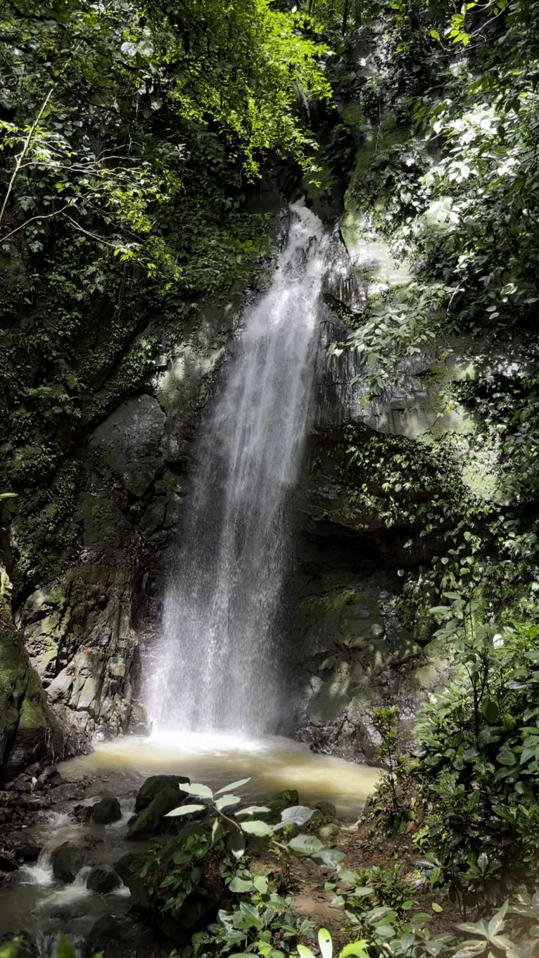 Beautiful waterfall in Costa Rica